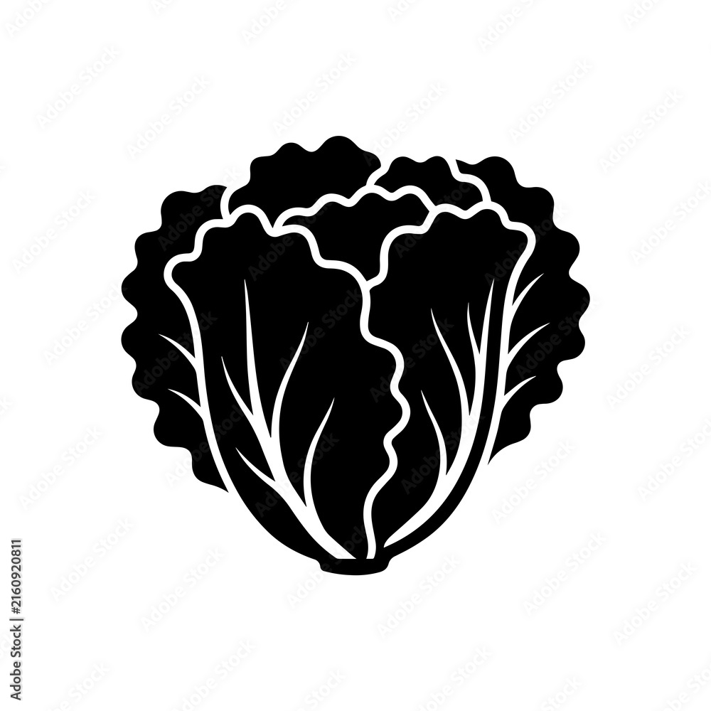 Fototapeta premium Black silhouette of a whole head of fresh lettuce with ruffled leaves, isolated on a white background, flat