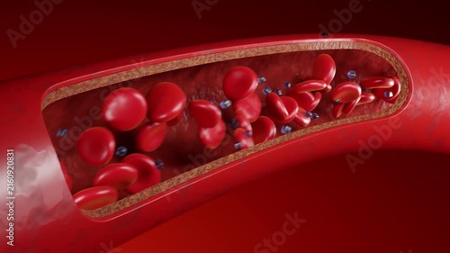 Red blood cells in an artery or blood vessel , flow inside body, medical human health-care. 3D Rendering.Blood cells in motion within an artery, showcasing scientific research, cardiovascular health