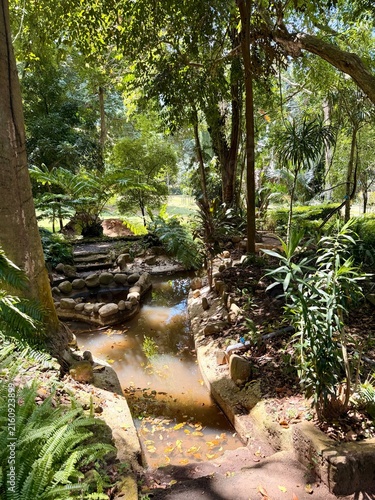 Konstfotografi Petit ruisseau traversant une végétation tropicale dense et luxuriante