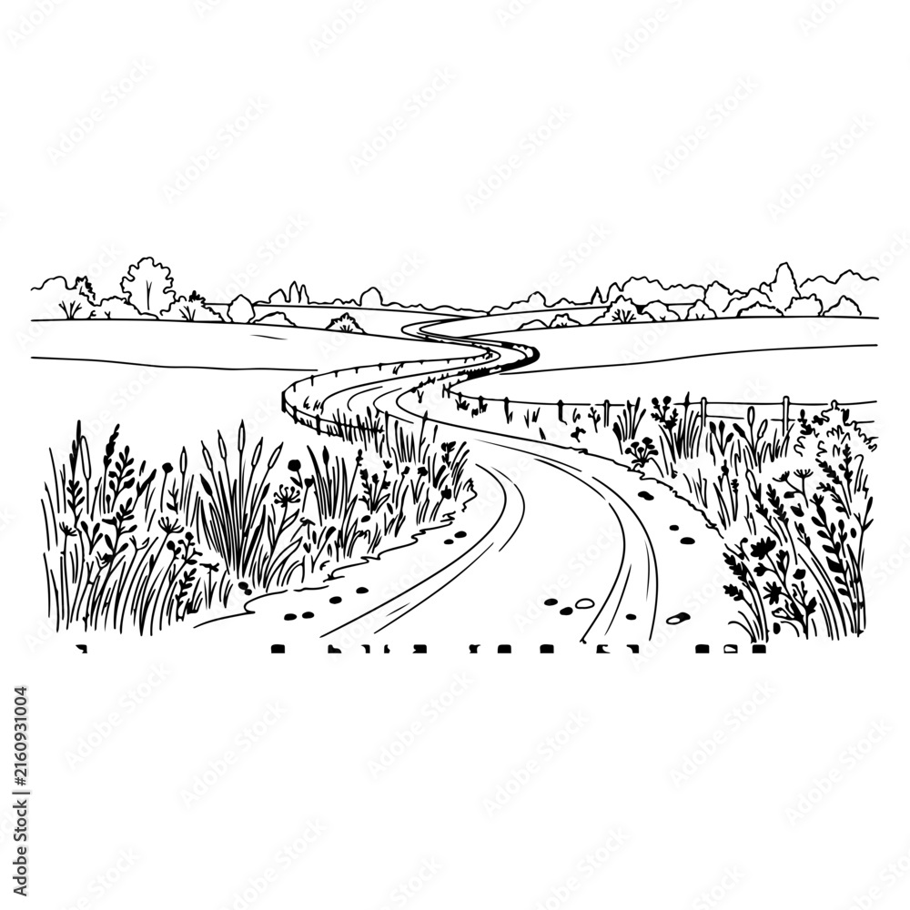 Fototapeta premium Curving rural road through grassy meadows with trees