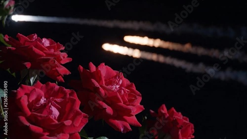 red roses blooming at night with glowing light trails in the background, creating a romantic and atmospheric floral scene