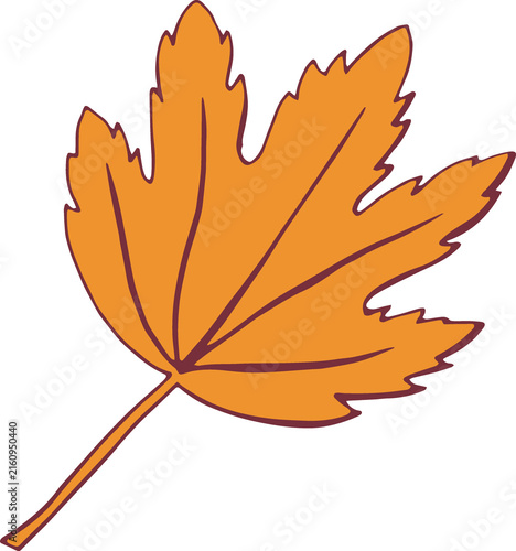 Botany maple leaf. Beautiful hand drawn yellow and brown design