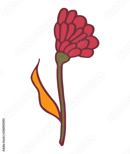 Autumn hand drawn red berries with sage green and yellow botany design, Botanical no background