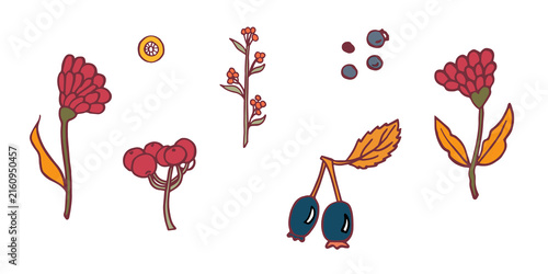 Botany orange blue red leavs branches and berries. Beautiful hand drawn black and white design template. Botanical set no background