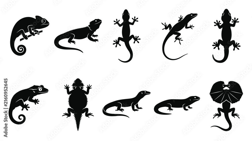 Fototapeta premium Vector graphic illustration collection featuring various black lizard silhouettes isolated on a clean white background design