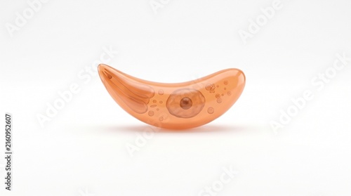 Toxoplasma parasite simple portrait white background