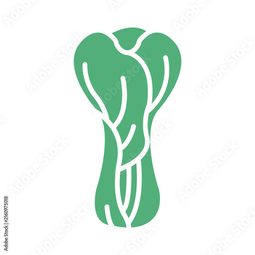 Foto Bok choy icon