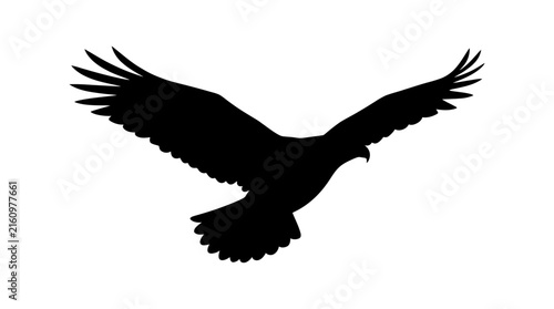 фотографія Soaring eagle with outstretched wings a black silhouette