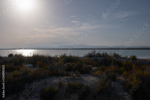 Foto Sunlit saline wetland landscape with dry vegetation and distant mountains