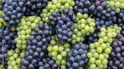 Fresh Green and Purple Grapes Mixed Fruit Background