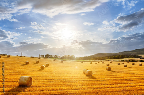 Hay bales in golden field with sunset summer background