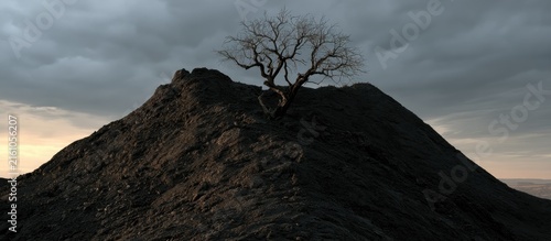 Lone, bare tree stands on a dark, rocky mound under a cloudy sky