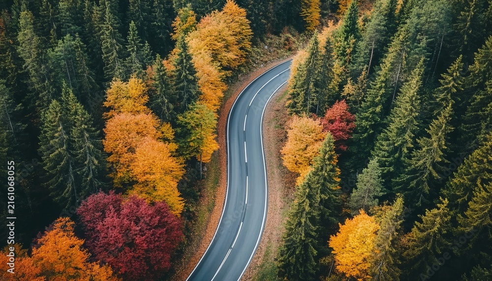 Fototapeta premium Aerial view of a scenic winding road through an autumn forest landscape with vibrant fall foliage
