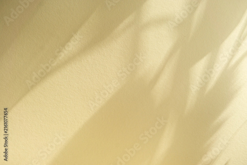 A soft neutral beige wall background with abstract plant leaf shadows. Minimalist elegant design backdrop, calm summer mood space.