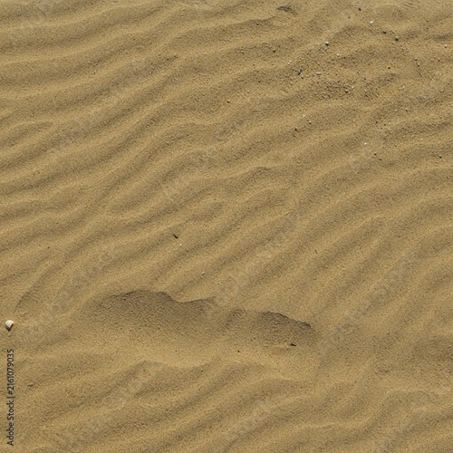 Fine Golden Sand Surface Texture Background