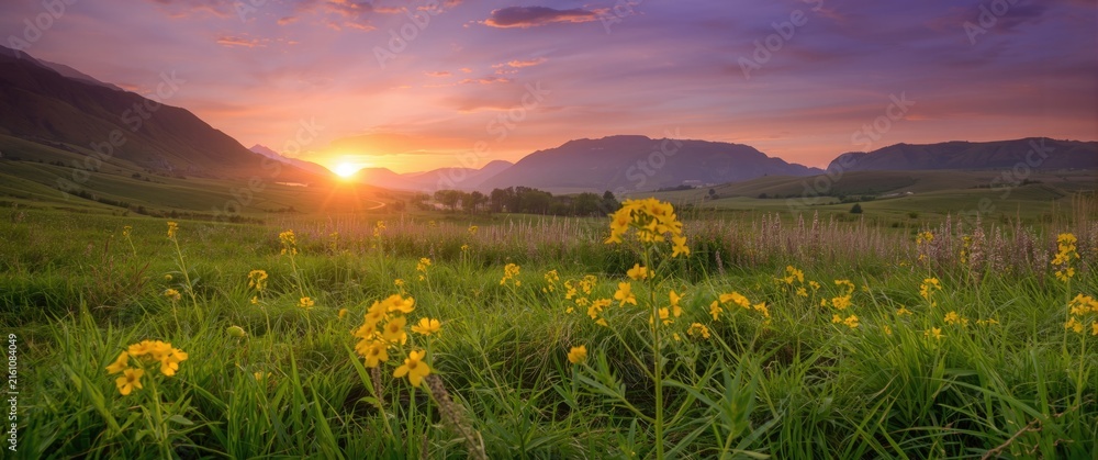 Fototapeta premium Sunset Over Rolling Hills with Yellow Wildflowers in Bloom