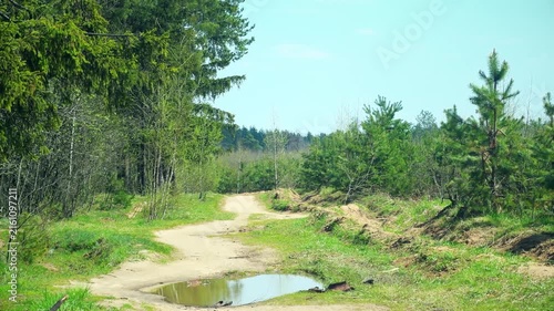 A dirt road with a puddle. A path along a forest in the countryside. A pastoral view of an empty countryside in summer.