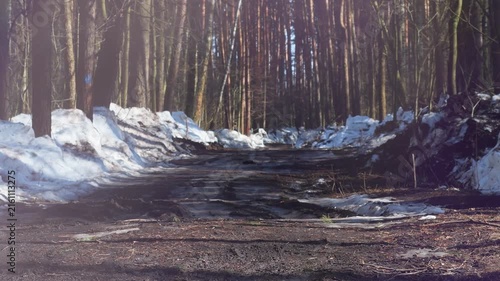 A dirt road in the forest washed out by rain. A wet, muddy path between the trees. A damaged driveway in the countryside. A view of an empty park in late spring.