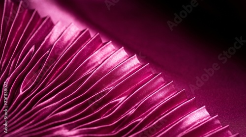 Macro of pink mushroom gills texture.