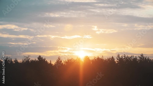 A yellow sun rises from behind the trees. Dawn over the forest. A romantic morning view in the countryside. Background with a blank space for credits.