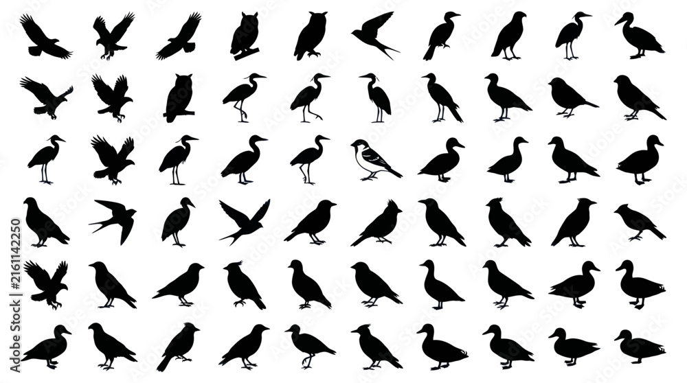 Naklejka premium Black bird silhouettes set including owls and herons.