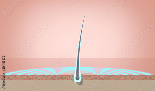 Fotografie Glowing healthy single hair strand growing from skin follicle - 3d illustration