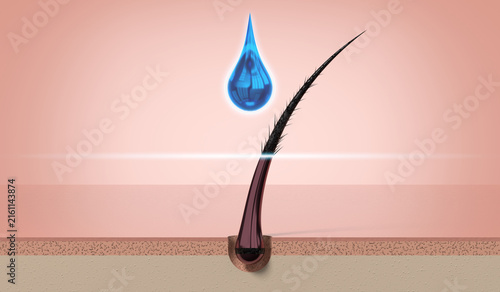 Single hair regeneration with shampoo drop - 3d illustration