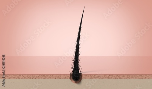 Severely damaged single hair strand with split structure on scalp - 3d illustration