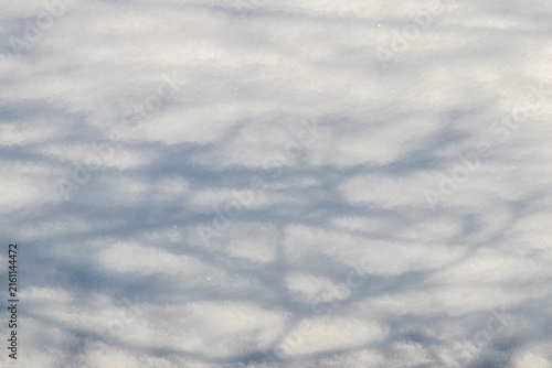 Quadro su tela Branch shadows on white snow creating natural pattern