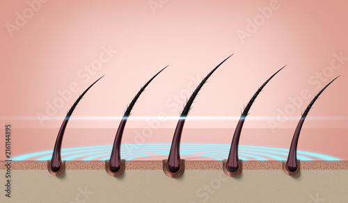 Row of multiple hair strands with protective layer on scalp surface - 3d illustration