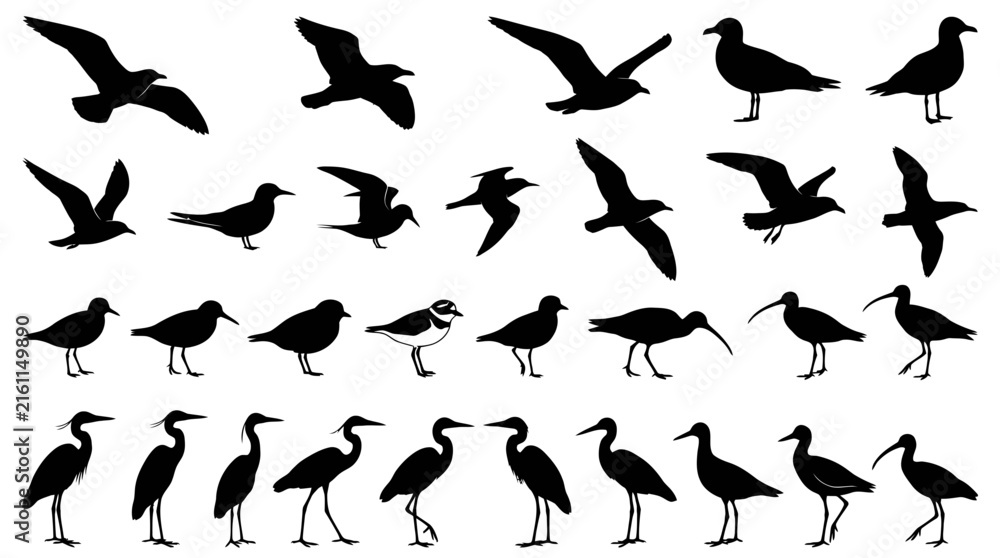 Naklejka premium Collection of various bird silhouettes in rows.