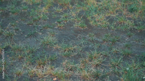 Rainy weather creates mud puddles on trail