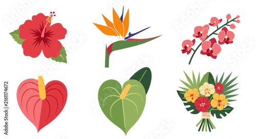 Colorful tropical flower set with hibiscus and bird of paradise.