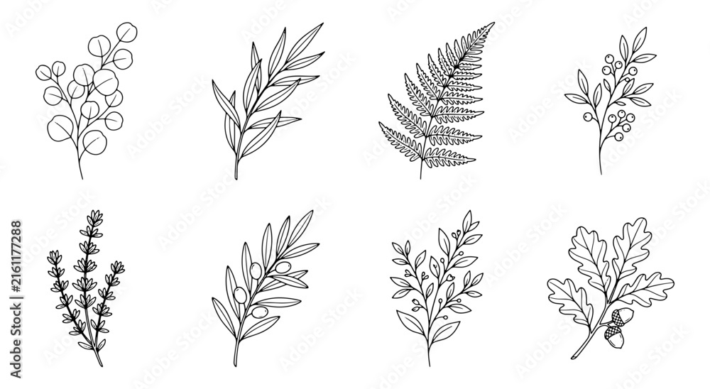 Fototapeta premium Set of hand drawn botanical illustrations featuring various leaves branches and forest plants in black ink style