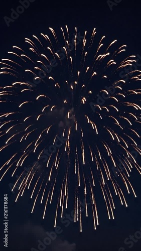 A colorful explosion of pyrotechnics illuminates the dark night sky