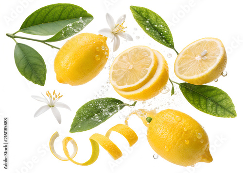 Composition of fresh whole lemons sliced halves curled peel white blossoms green leaves with water splashes