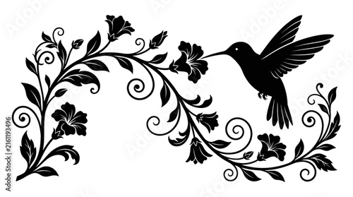 Hummingbird feeding on a flowering vine silhouette.
