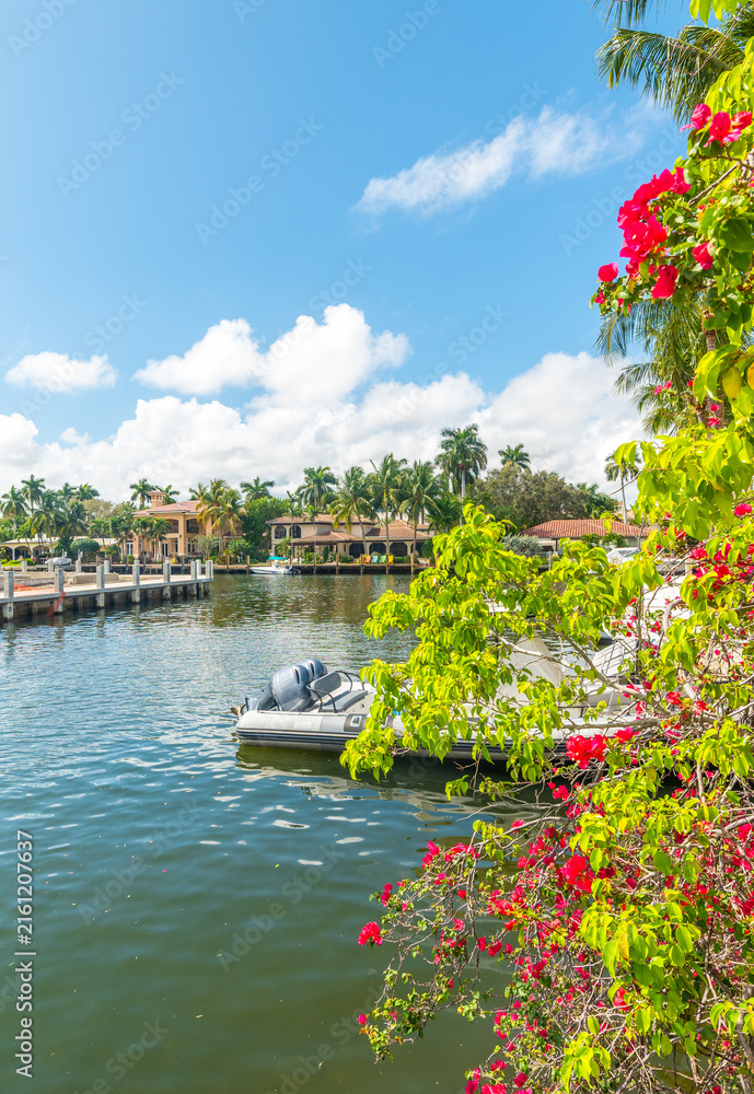 Fototapeta premium Red flowers and luxury waterfront homes on Fort Lauderdale canal