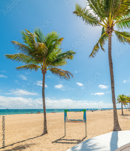 Obraz na plátně Wish You Were Here sign and palm trees on Fort Lauderdale beach