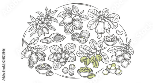 Circular arrangement of various nuts and leaves