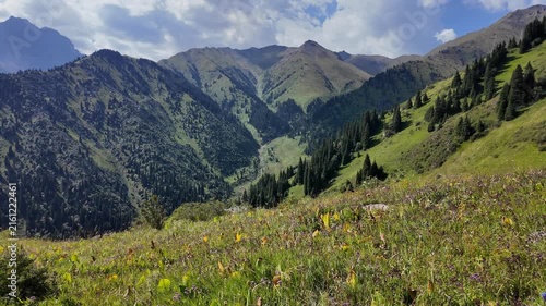 An idyllic alpine mountain landscape with a lush green valley, blooming wildflowers and sun-drenched hills under a beautiful sky