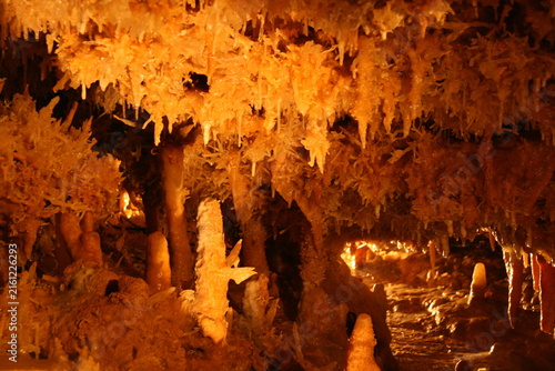 Foto grand roc cave in périgord in france