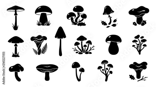 Fifteen Black Mushroom Silhouette Fungi Icons with Forest Elements Vector Set