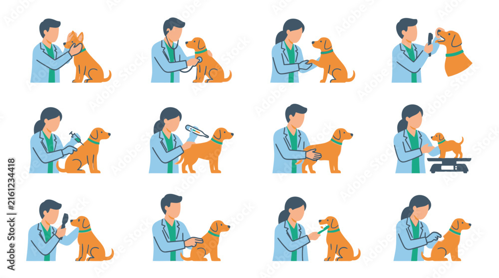 Fototapeta premium Veterinary clinic and domestic pet health care icons.