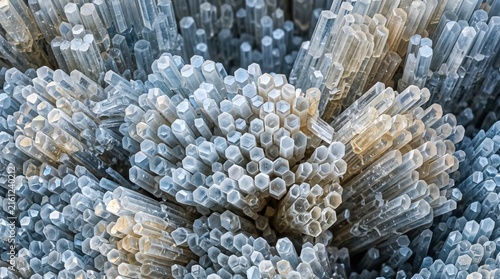 Tooth Enamel Hydroxyapatite Crystals Under Extreme Magnification