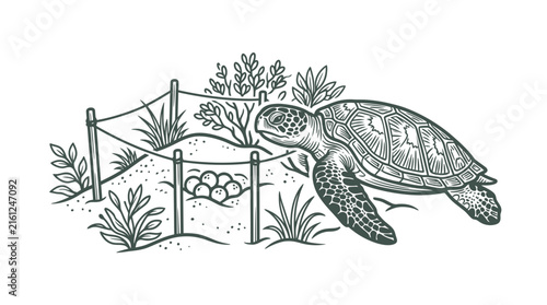 Sea turtle near protected beach nesting site illustration.