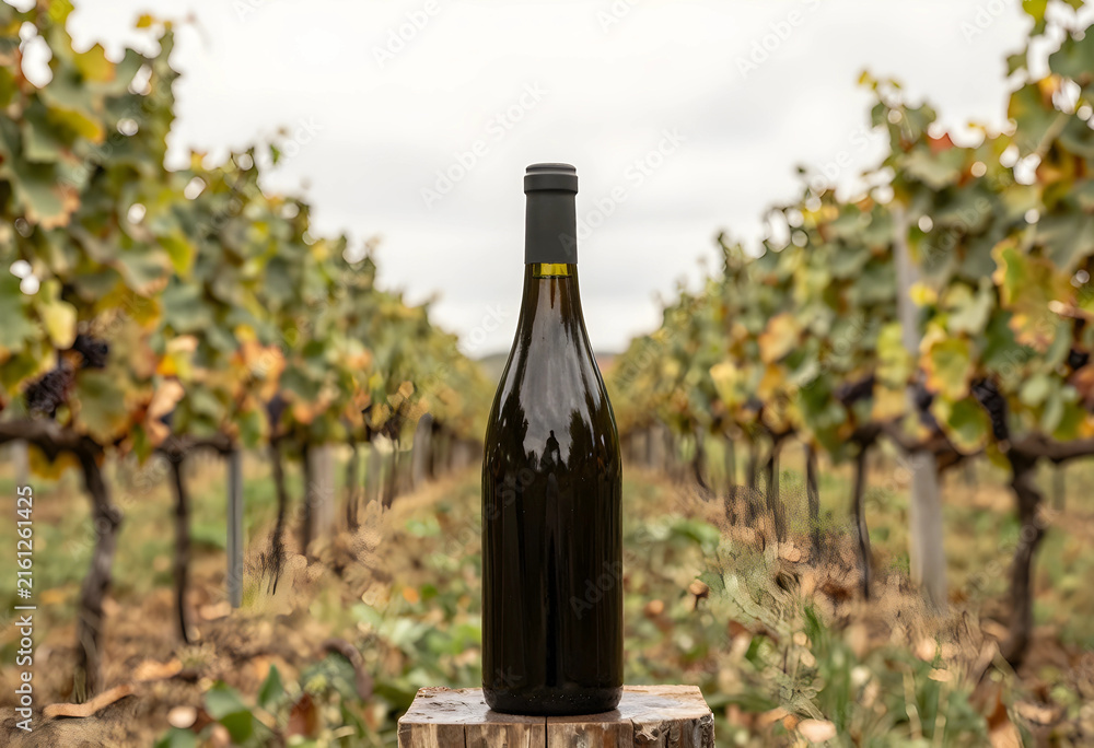 Naklejka premium Wine production and viticulture, dark wine bottle on a wooden stump in a vineyard with grapevines and autumn leaves