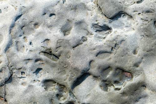 Foto Quebec, Canada, 28 July 2026 : Close-up view of a weathered rock surface with natural indentations and small water puddles