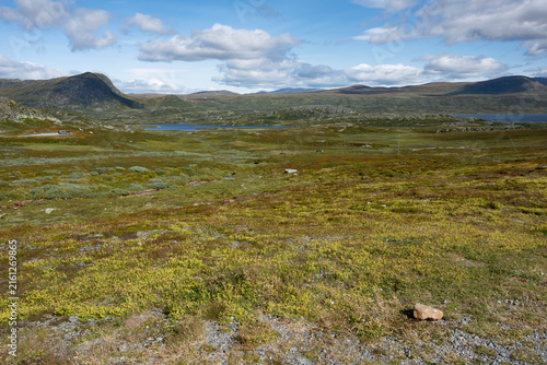 Fjell Landschaft ,  Jotunheimen Nationalpark, Norwegen
