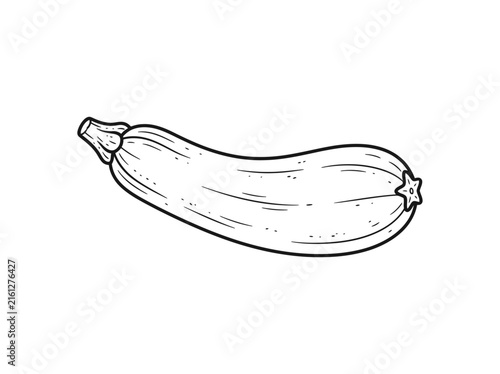 Horizontal zucchini marrow line art illustration on white.
